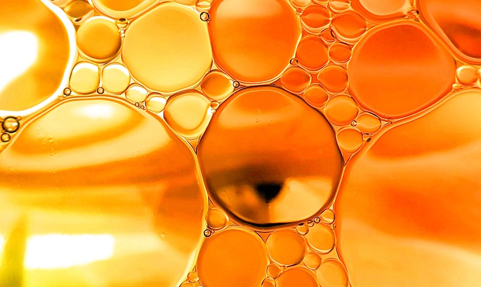 Seed Oil Free Certified Standards