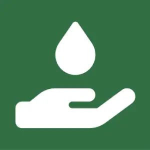 Body Care