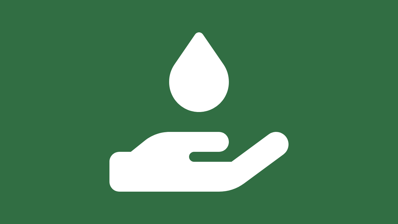 Body Care