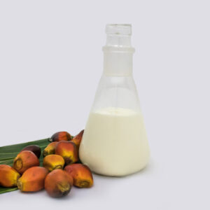Palm Fruit Stearin